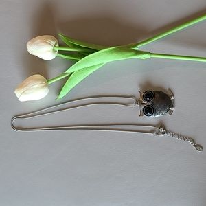 ⭐ 2/$10 or 3/$15 - Aldo Silver Owl Necklace